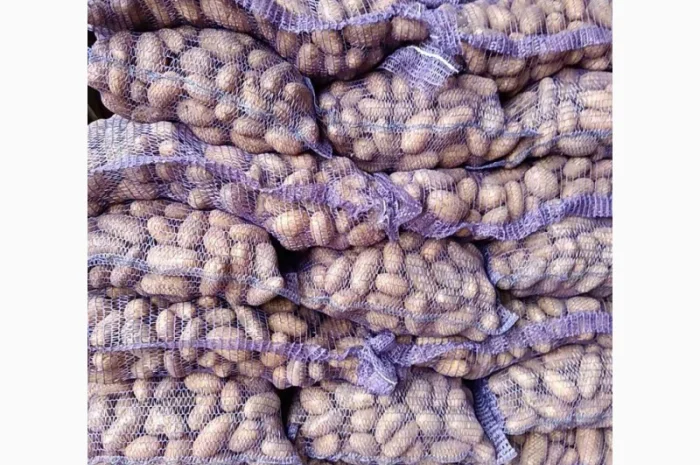 Продаж картоплі сорт Гранада та Белороса- фото № 1