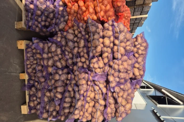Продажа картофеля различных сортов- фото № 2