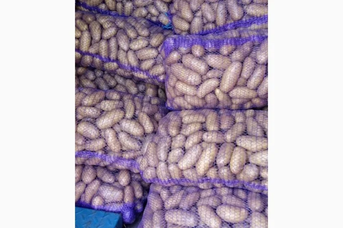 Продаж товарної картоплі- фото № 2