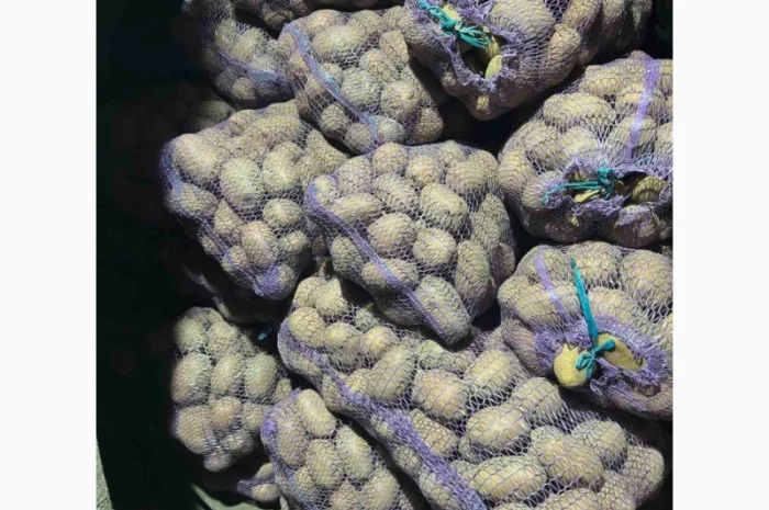 Продаю картофель разных сортов- фото № 5