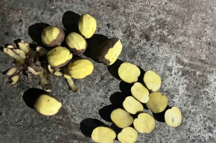 Продаю картофель разных сортов- фото № 9