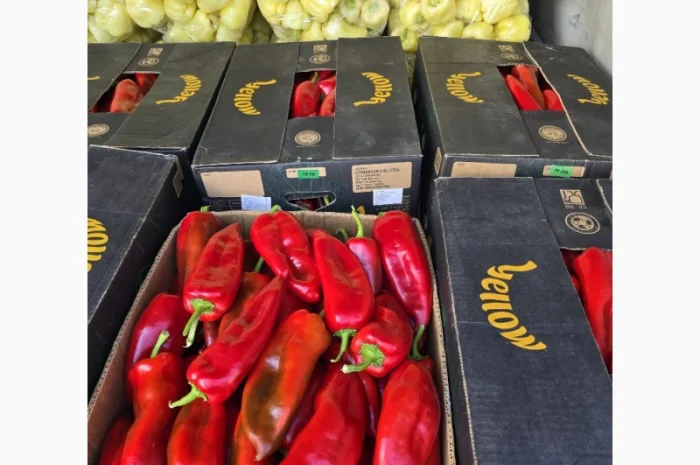 Армянский сладкий перец желтый оптом- фото № 1