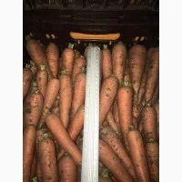 Продажа борщевого набора от производителей- фото № 2