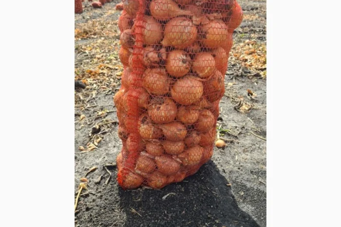 Продажа борщевого набора от производителей- фото № 6