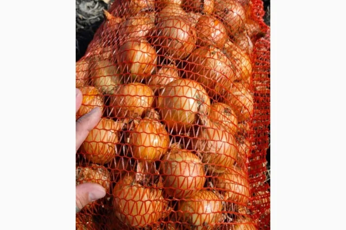 Продажа борщевого набора от производителей- фото № 7