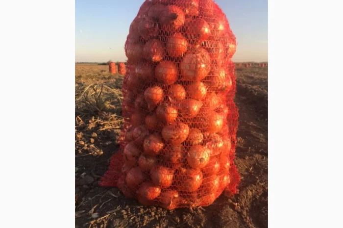 Продажа борщевого набора от производителей- фото № 8