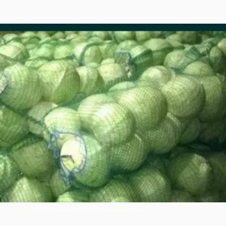 Продажа борщевого набора от производителей- фото № 9