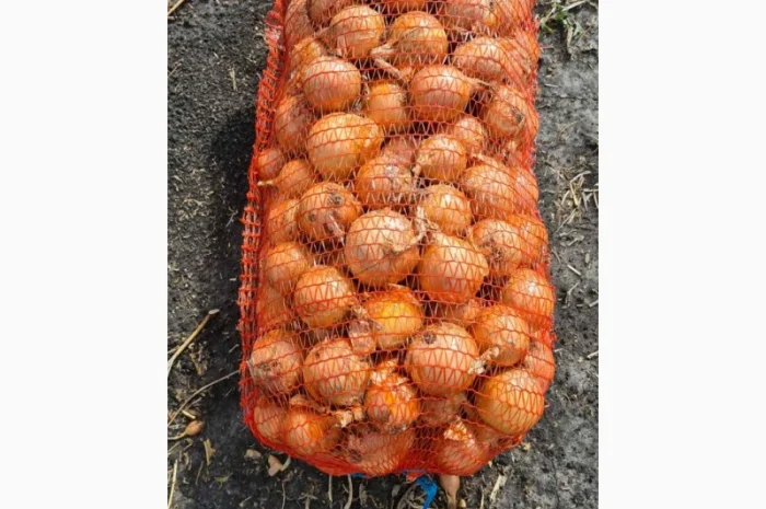 Продажа борщевого набора от производителей- фото № 10