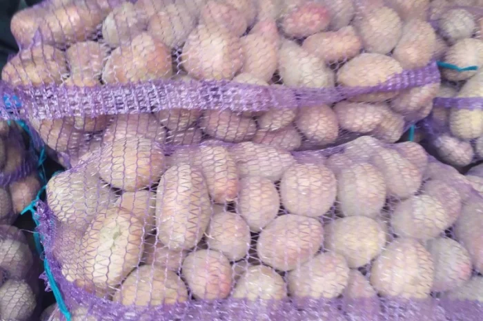 Продажа борщевого набора от производителей- фото № 11