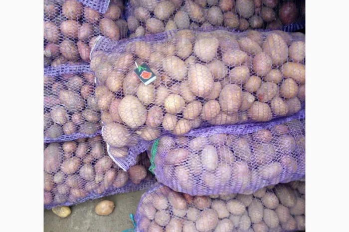 Продажа борщевого набора от производителей- фото № 12