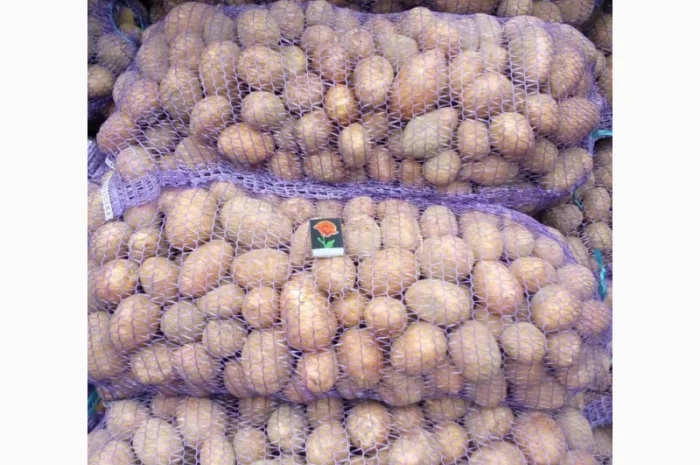 Продажа борщевого набора от производителей- фото № 13