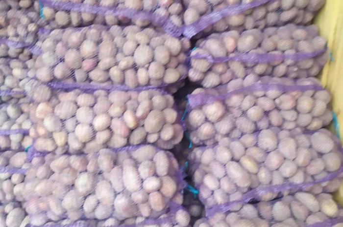 Продажа борщевого набора от производителей- фото № 14