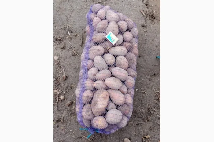 Продажа борщевого набора от производителей- фото № 16