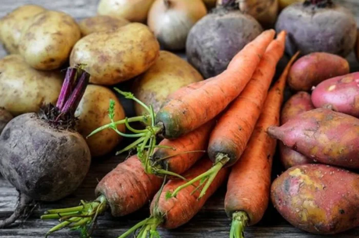 Куплю борщ набір від 20 тонн- фото № 1