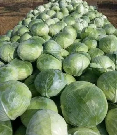 Продаю борщовий набір- фото № 2