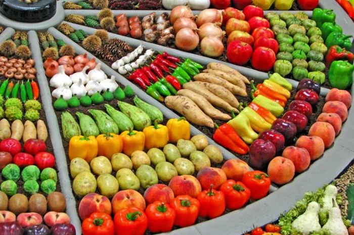 Семена овощей оптом и в розницу- фото № 2