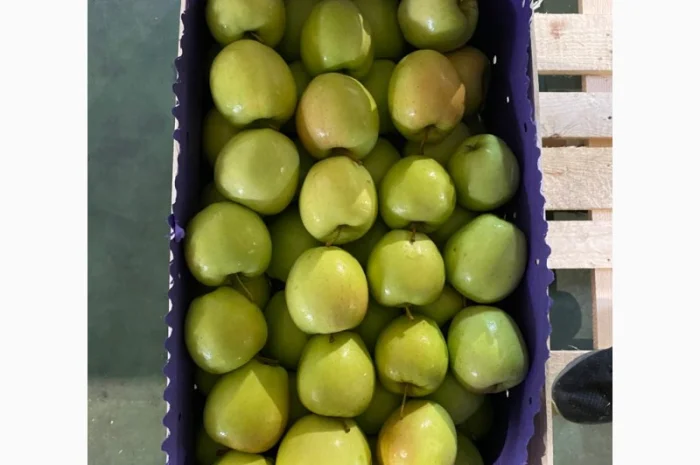 Свіжі яблука та овочі від виробника в Польщі- фото № 1