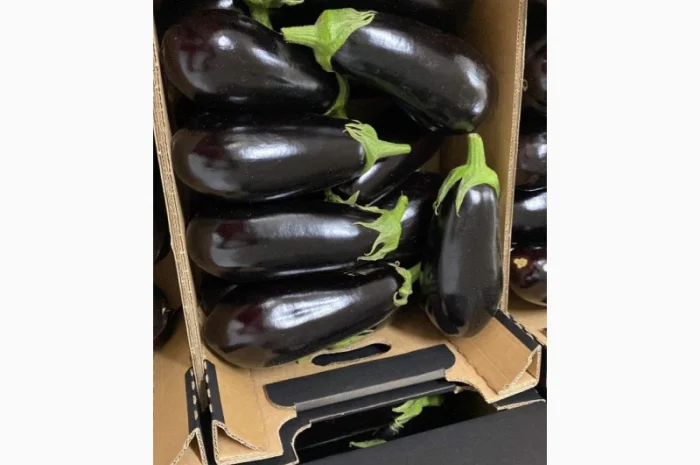 Свіжі яблука та овочі від виробника в Польщі- фото № 4