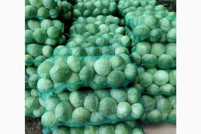 Оптом овощи: картошка, капуста, морковь и другие- фото № 3