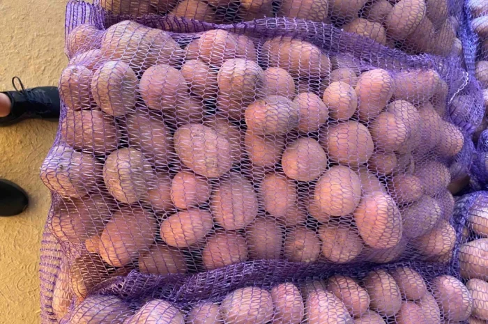 Оптом овощи: картошка, капуста, морковь и другие- фото № 5