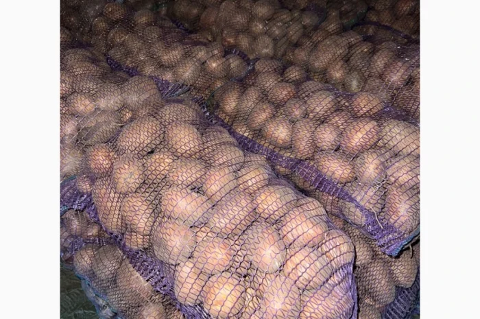 Продается борщевой набор по доступным ценам- фото № 1