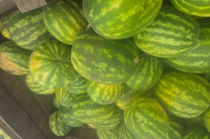 Арбуз на продаж- фото № 4