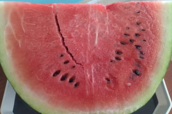 Кавун из Туреччины на продажу- фото № 1