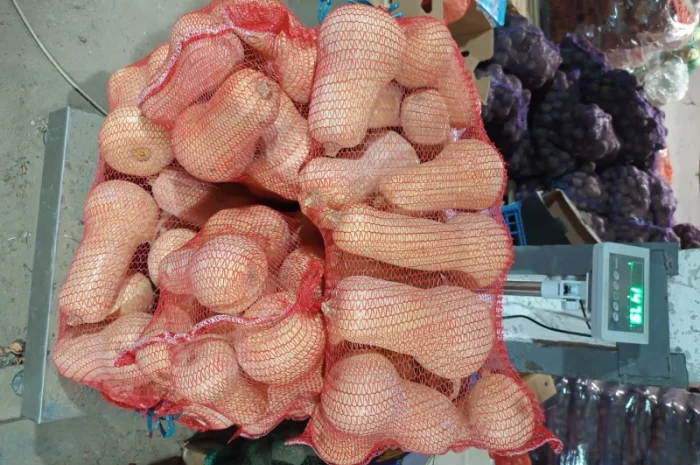 Продажа тыквы Матильда высокого качества- фото № 2