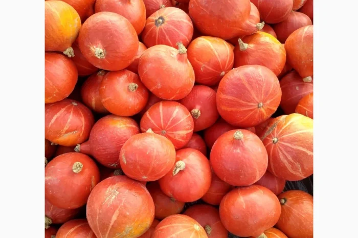 Продаю гарбуз Хоккайдо- фото № 2