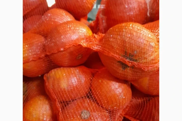 Продаю гарбуз Хоккайдо- фото № 3