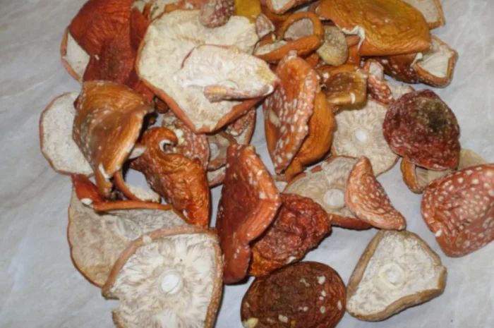Продажа сушеного мухомора червоного- фото № 1