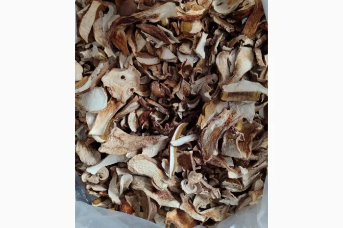 Сушені білі гриби з Карпат- фото № 1