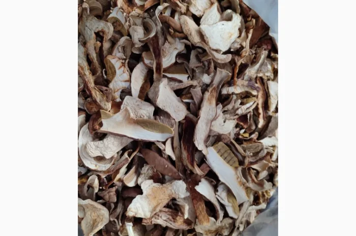 Сушені білі гриби з Карпат- фото № 5