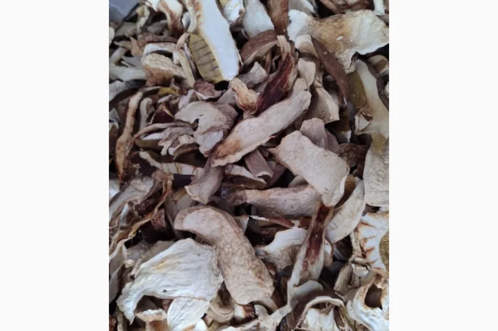 Сушені білі гриби з Карпат- фото № 7