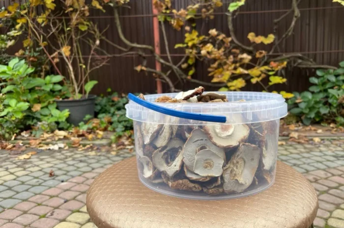 Сушені білі гриби без домішок- фото № 1