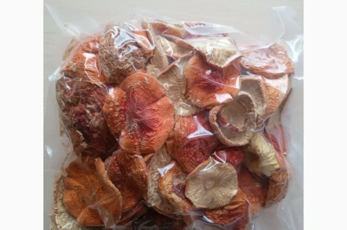 Продажа сушеных мухоморов- фото № 1