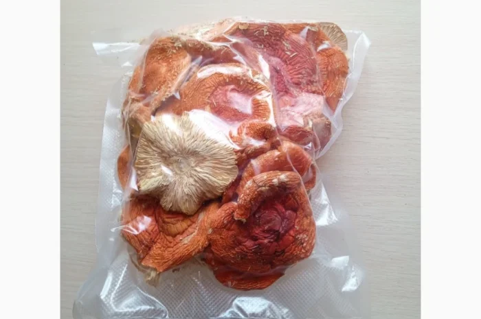 Продажа сушеных мухоморов- фото № 2