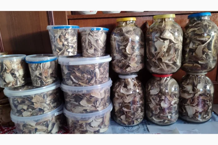 Сушені білі гриби на продажу- фото № 3