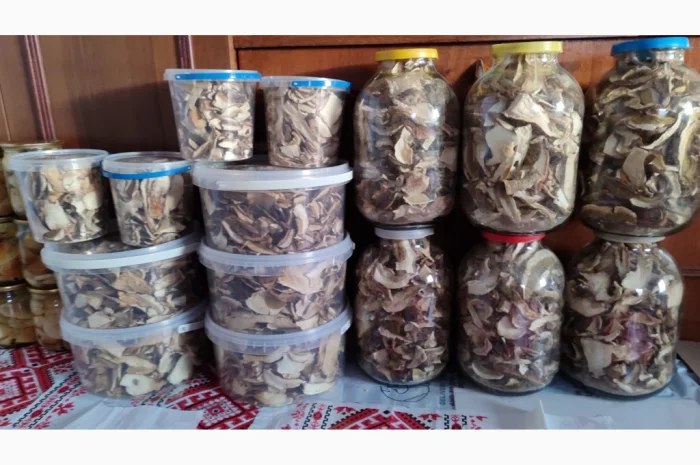 Сушені білі гриби на продажу- фото № 5