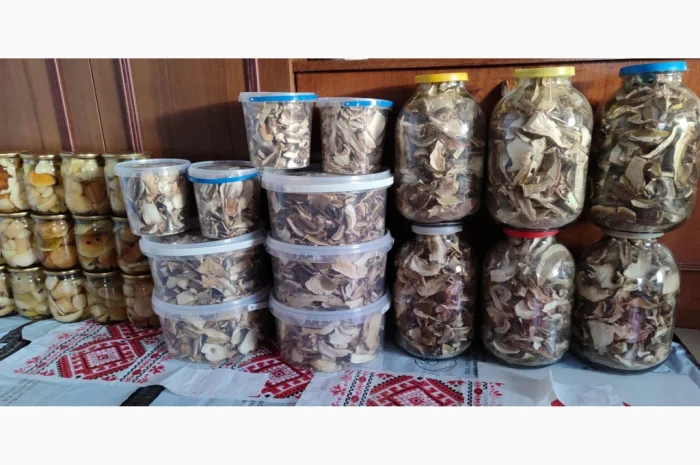 Сушені білі гриби на продажу- фото № 6