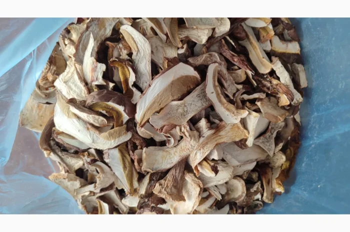 Сушені білі гриби на продажу- фото № 8