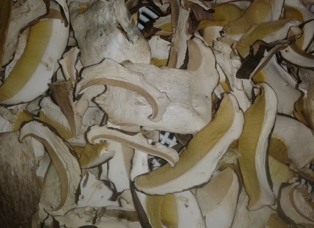 Продаж сушеного білого гриба- фото № 2