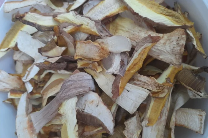 Продажа белого гриба сушеного- фото № 1