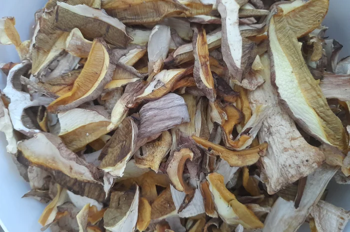 Продажа белого гриба сушеного- фото № 2