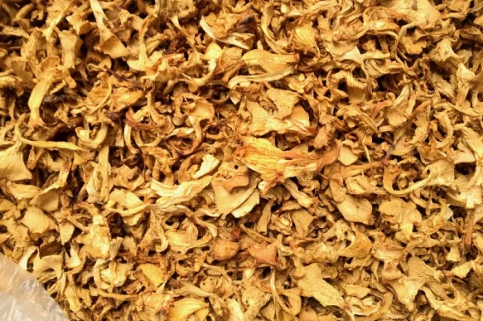 Лисичка сушеная 2021 года- фото № 1