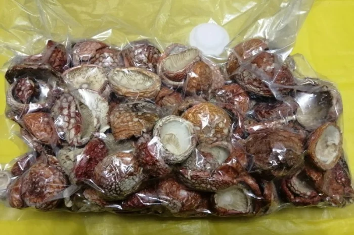 Мухомор червоний сушений відбірний- фото № 3