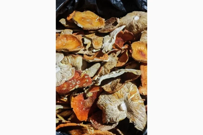 Мухомор сушений 3 сорт, свіжий 25 року- фото № 1