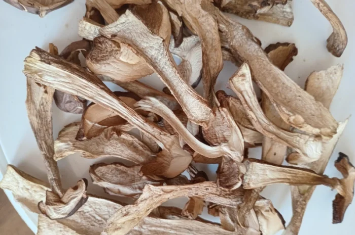 Продаю сушений підберезник- фото № 1