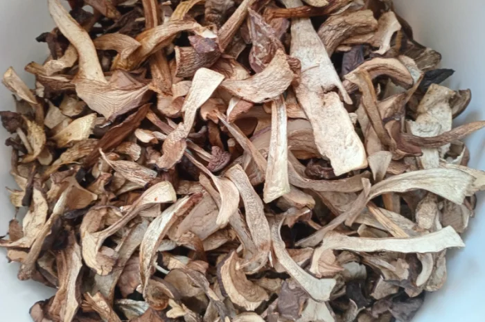 Продаю сушений підберезник- фото № 2