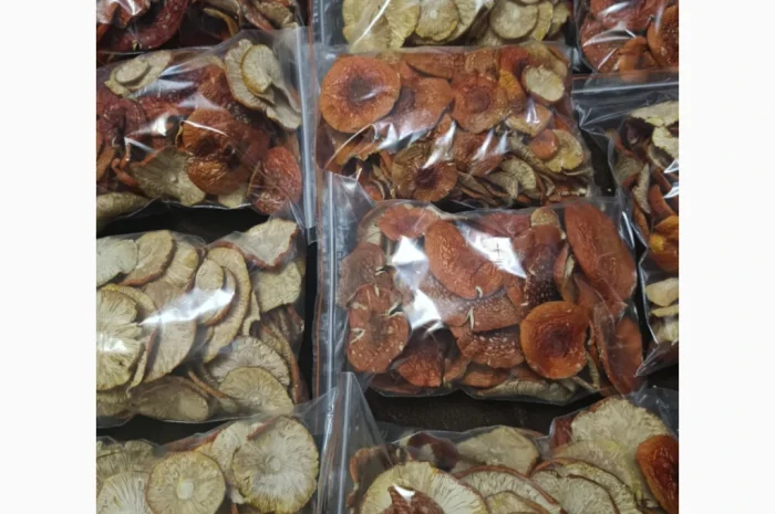 Сушений червоний мухомор на продаж- фото № 3